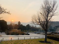 -北京植物园-展览温室
