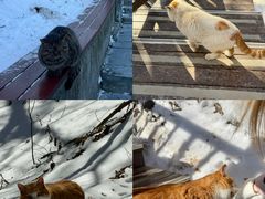 -终南山南五台景区