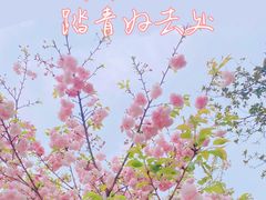 -成都动物园