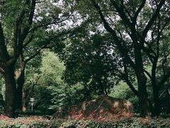 -徐家汇公园