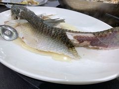 山坑鲩鱼-飞尝蚝·顺德菜·鱼生(顺德总店)