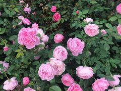 -人民公园(罗湖区)