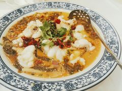 -新君悦国际酒店