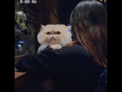 -Bistro Les Lilas丁香花小酒馆