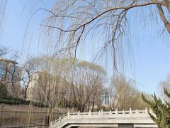 -元大都城垣遗址公园