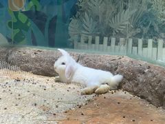-海合安青岛极地海洋公园
