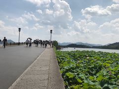 -西湖游船