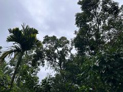 -七仙岭温泉国家森林公园