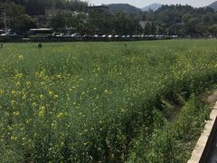 -红山村