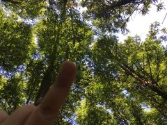 -山王坪喀斯特国家生态公园