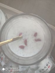 -ANNIL安奈尔·NASX超透白·科技抗衰·问题性肌肤管理