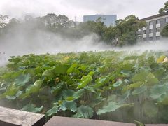-四川大学(望江校区)