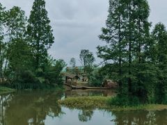 -桤木河湿地公园