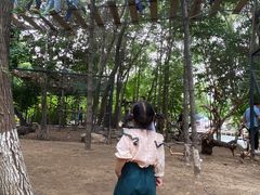 -大鹅岛绿色生态美食园