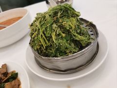 蒜泥野菜-金春禧(世茂国际广场店)