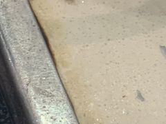 -黑山牛肉汤火锅(花城汇店)