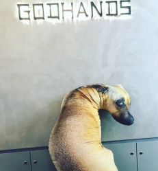 点击看大图 -Godhands美发设计沙龙