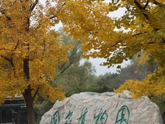 -国家植物园南园