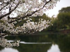 -共青国家森林公园-售票处