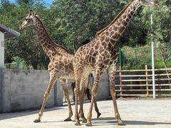 -水上乐园·欢乐世界