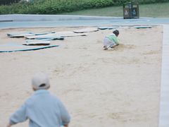 -广州奥园喜来登酒店