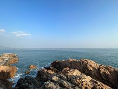 -小麦岛公园