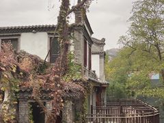 -老张烤羊(王哥庄店)