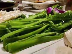 -金彤川菜(西稍门店)