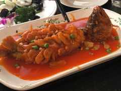-云中小雅