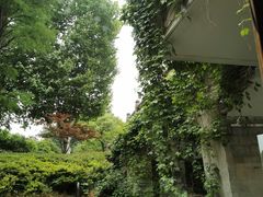 -夫子庙秦淮河画舫
