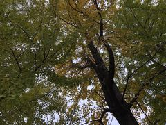 -辽宁大学(崇山校区)