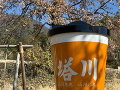 -塔川景区