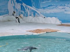 -海合安武汉极地海洋公园
