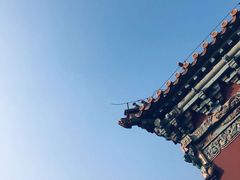 -北陵公园