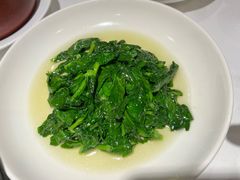 酒香豆苗-老吉士酒家(天平路店)