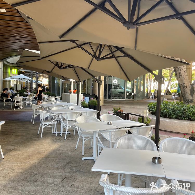 打卡海上世界下午茶