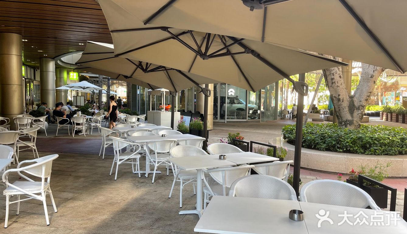 打卡海上世界下午茶