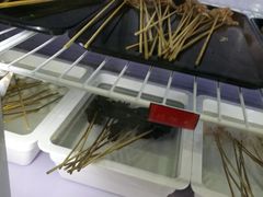 木耳-三个大叔东北烧烤·砂锅菜(西三旗店)