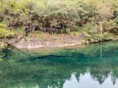 -石台牯牛降景区