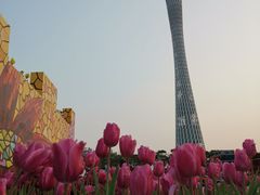 -海心沙亚运公园