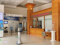 -北京德尔康尼骨科医院