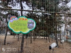 -保定市动物园