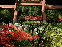 -杭州半山国家森林公园