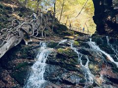 -五女峰国家森林公园