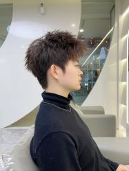 点击看大图 -COSMO PRO造型