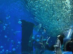 -哈尔滨波塞冬海底世界