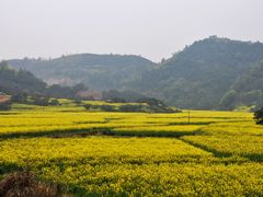 -新安江山水画廊风景区