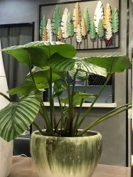 -丝域养发馆