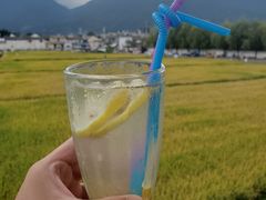 -喜林苑·稻田餐厅(品相府店)