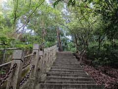 -梧桐山风景名胜区